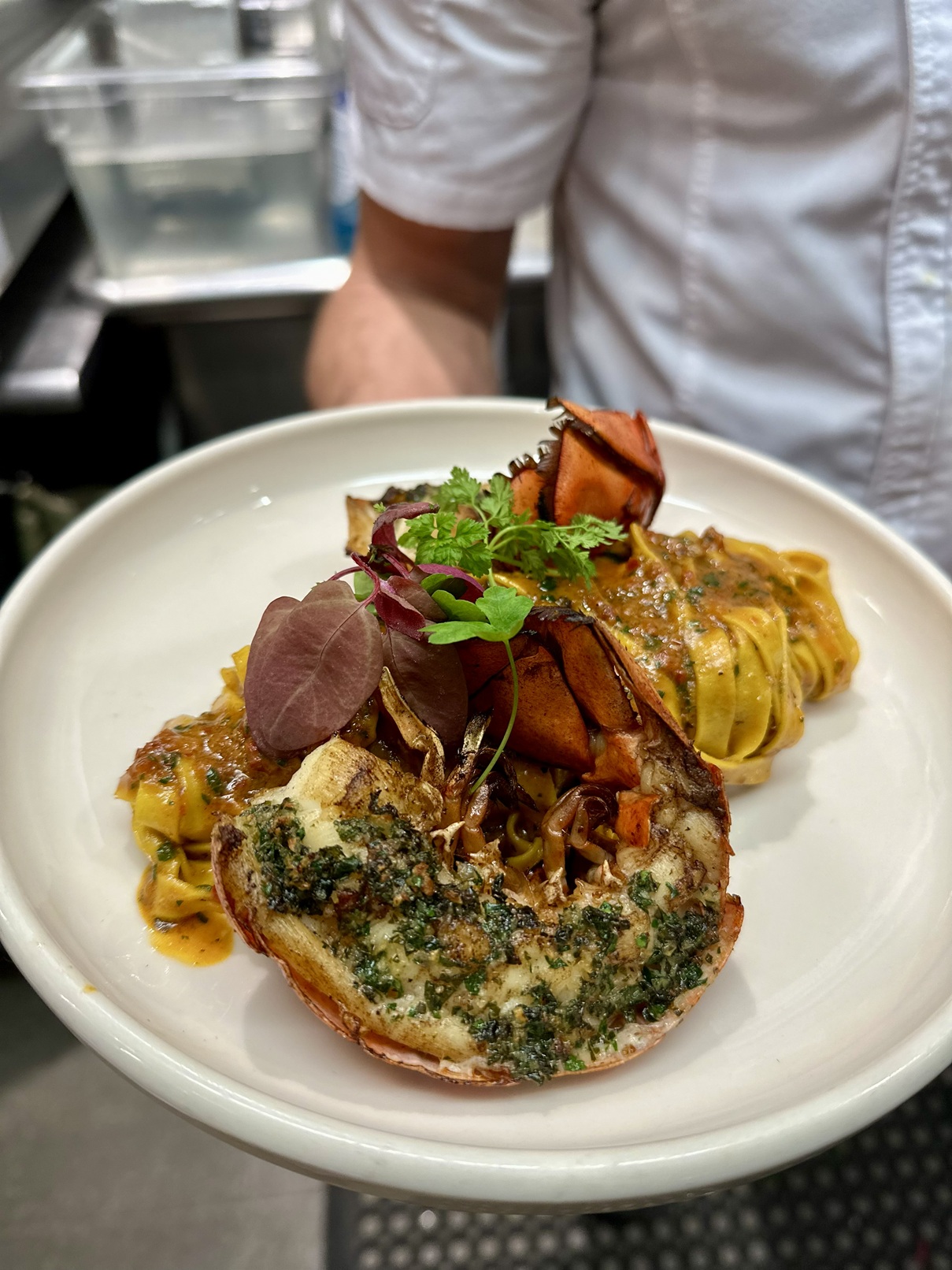 Lobster and fresh handmade pasta with mascarpone sauce